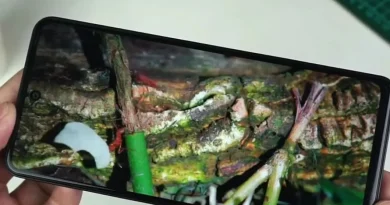 Review Fitur Kamera Smartphone Terbaru di Kelas Menengah 2026