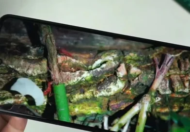 Review Fitur Kamera Smartphone Terbaru di Kelas Menengah 2026