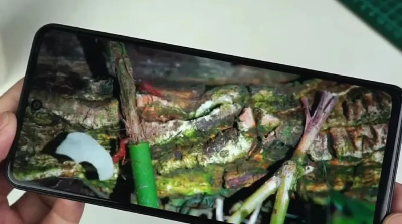 Review Fitur Kamera Smartphone Terbaru di Kelas Menengah 2026